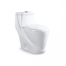 Dual Flush One Piece Toilet